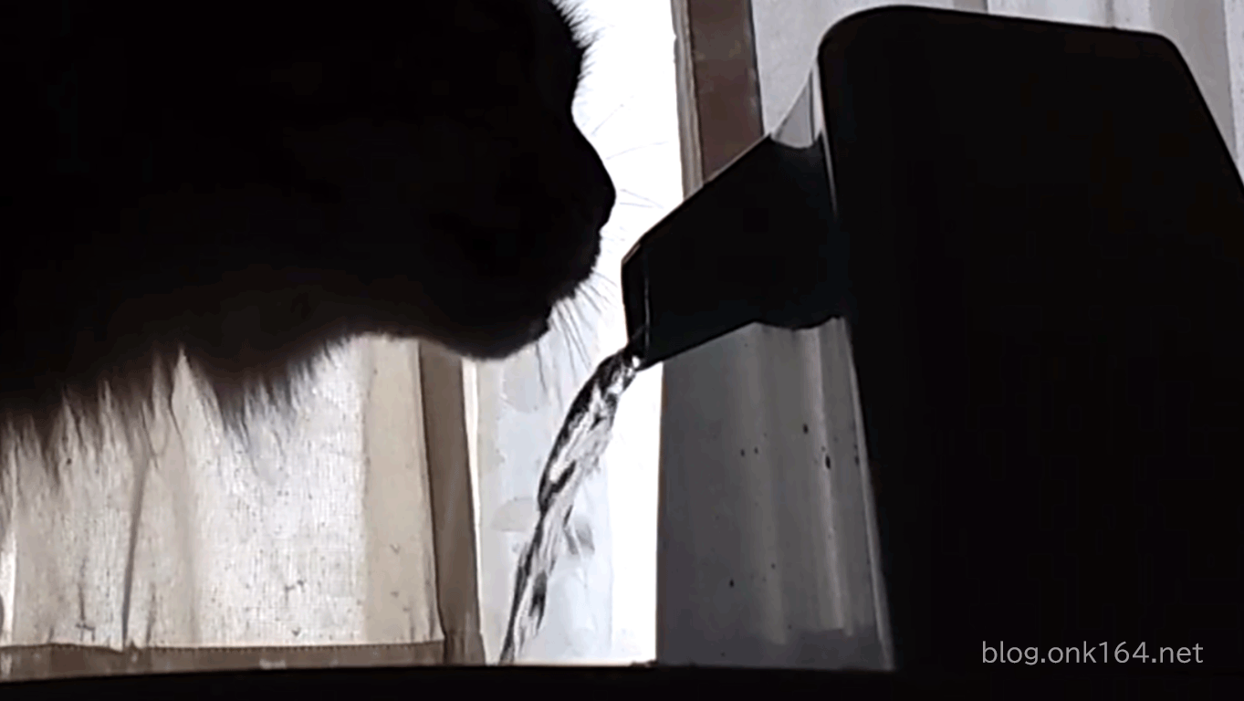 猫トリビア 猫が水を飲むときは舌の裏側ですくい上げて飲む Onk Blog